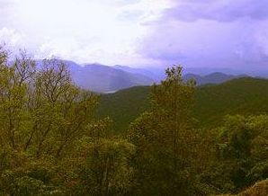 Wildernest Nature Resort Chorla Bagian luar foto